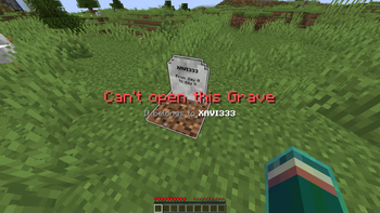 Can't open other's Grave