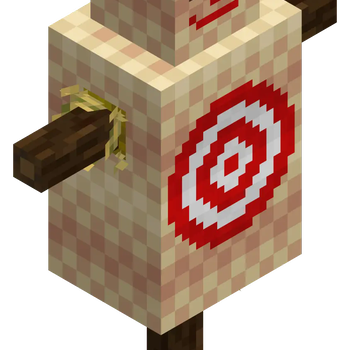 Training Dummy Model