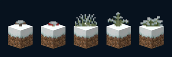Fancy Snow