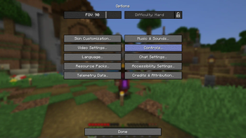 Options Menu