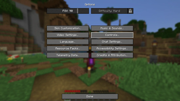 Options Menu