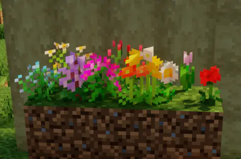 Flower Beds
