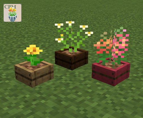 Wodden crate planters