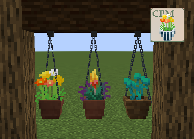 Hanging Pots