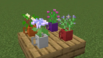Cup Pots