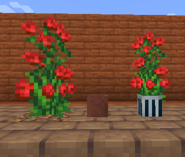 Double Plants