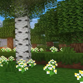 Freshly Textured