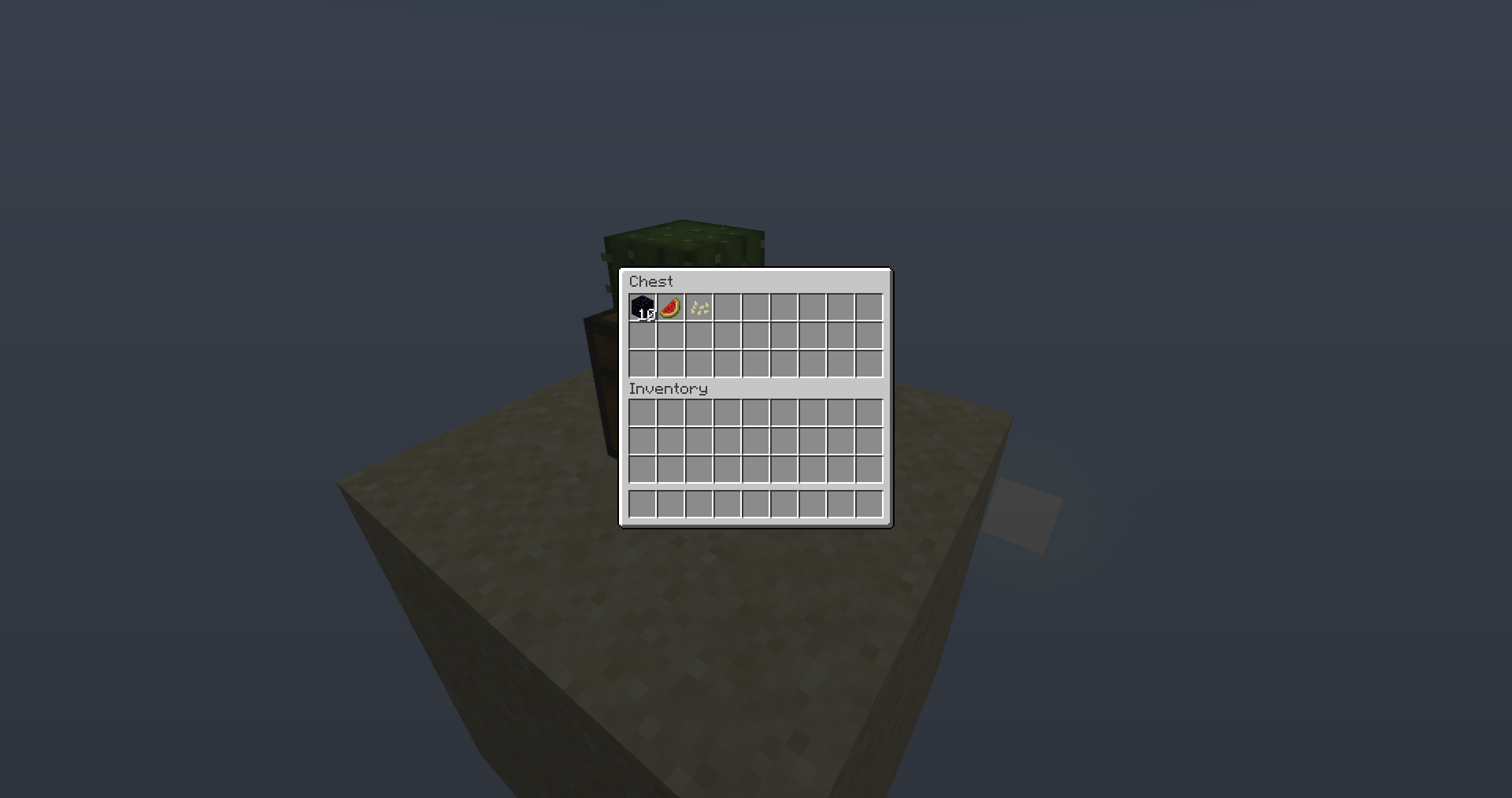 Basic Skyblock Gallery