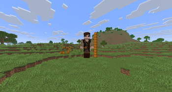 ResizePlayer — screenshot 3