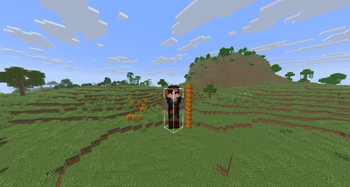 ResizePlayer — screenshot 4