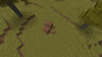 Termites!