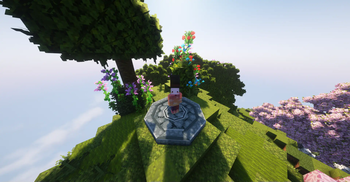 Customizing Character