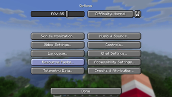 Options Menu - After