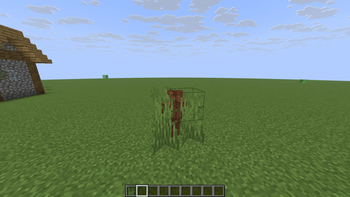 Hide In Grass