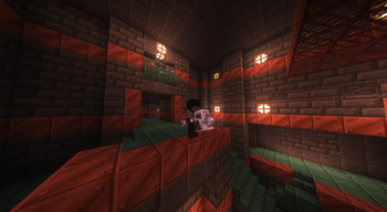 Third-Person View