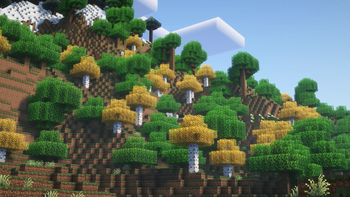 Birch and Oak Trees