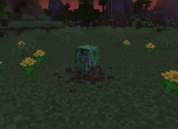 Mob spawn animations