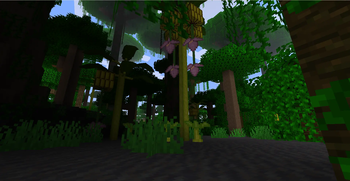 Muddy Rainforest