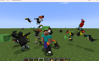 Toucans!