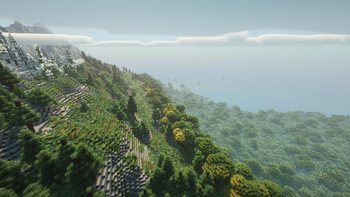 Meadow & Forest