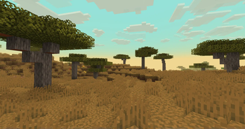 Savanna