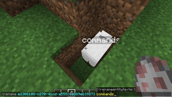 /rename