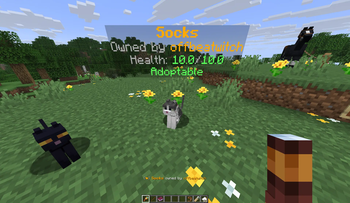 Pet info