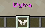 Elytra Wings
