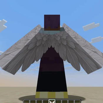 Elytra Wings