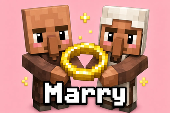 Villagers Marriage