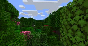 Vanilla Minecraft temperate deciduous forest biome