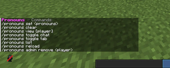 Pronoun Command List