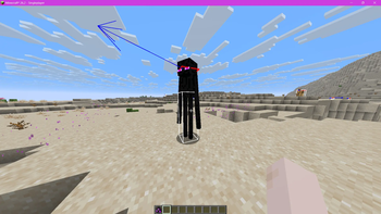 enderman being two blocks tall with hitbox on