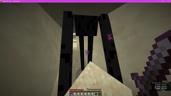enderman being 2 blocks tall