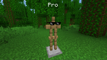 A real Pro