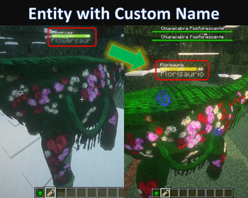 Entity Custom Name