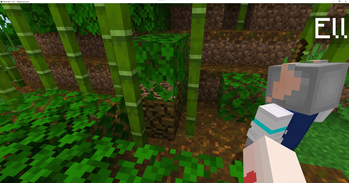 Automatons can navigate through obstacles