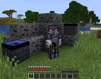 Player around the tungsten-related blocks