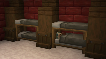Villager sleeping in a gray bunk bed