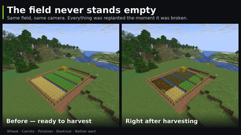 The field never stands empty