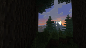 Beautiful Forests For Your Wildlife needs!