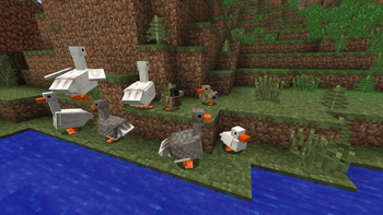 Ducks! Awww how cute! :3