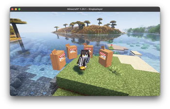 Shaders
