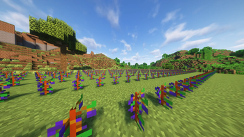 Second Wine yard