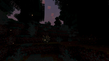 Fireflies