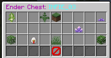 Ender chest Inventory