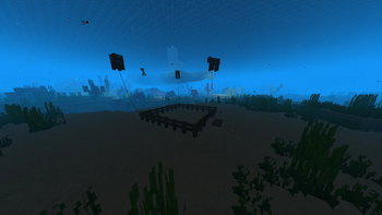 underwater corral