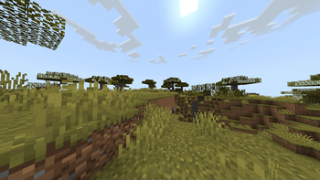 Savanna Biome