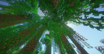 Jungle Biome