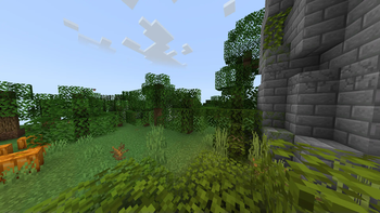 Birch Forest Biome